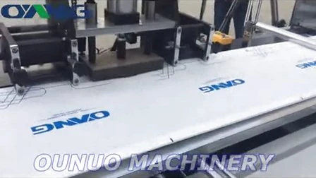 Máquina para fabricar bolsas de zapatos con cordón no tejido a la venta